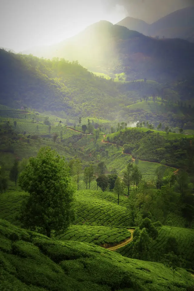 8N/9D Explore Kerala & Beyond
